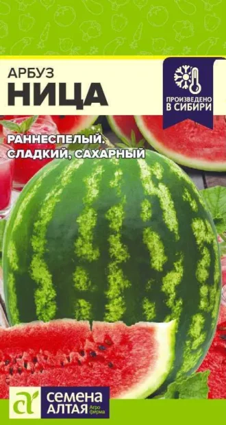 Арбуз Ница фото