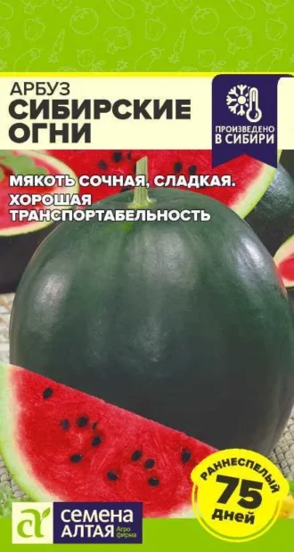 Арбуз Сибирские Огни