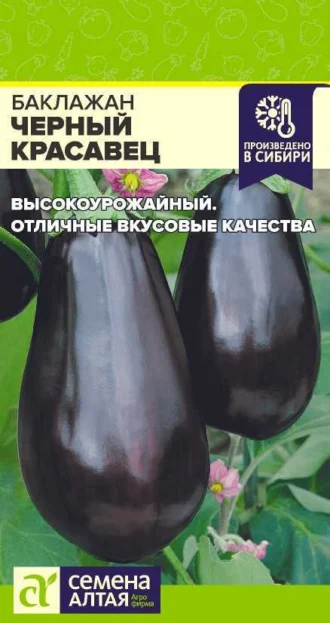 Баклажан Черный Красавец ФОТО