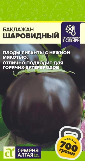 Баклажан Шаровидный фото