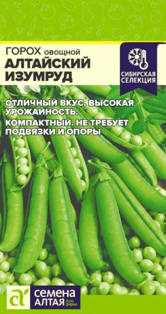 Горох Алтайский Изумруд ФОТО