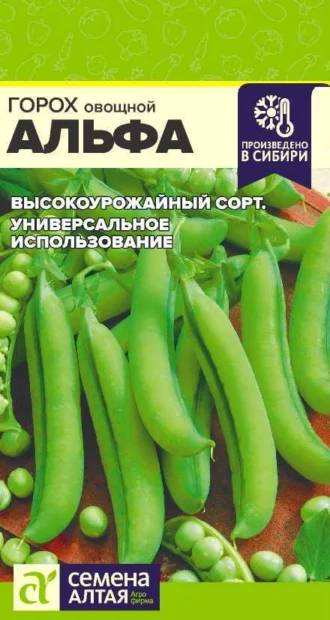 Горох Альфа ФОТО