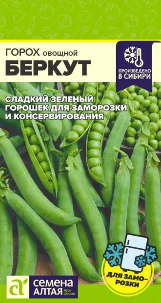 Горох Беркут ФОТО