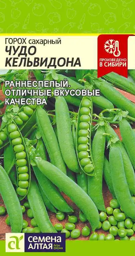 Горох Чудо Кельвидона Семена Алтая