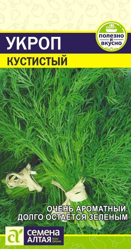 Укроп Кустистый Семена Алтая