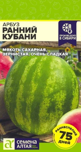 Арбуз Ранний Кубани фото