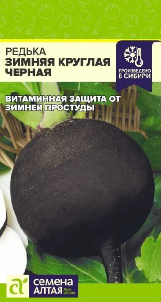 Редька Зимняя Круглая Черная фото