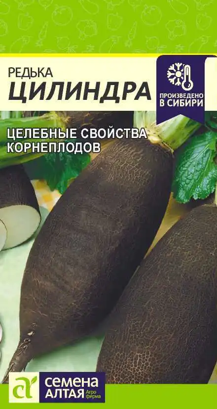 Редька Цилиндра Семена Алтая