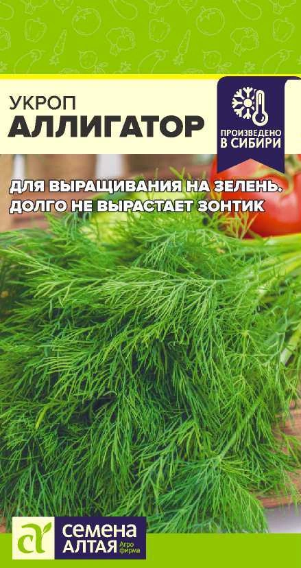 Укроп Аллигатор фото