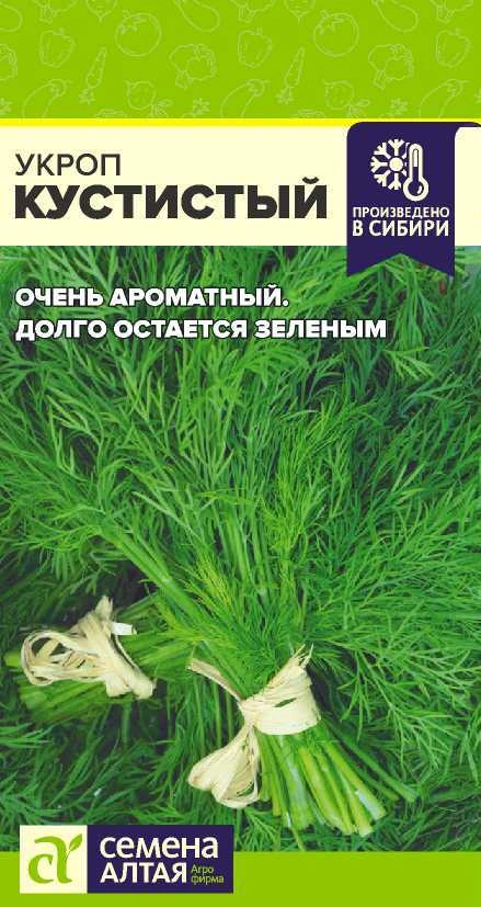 Укроп Кустистый ФОТО
