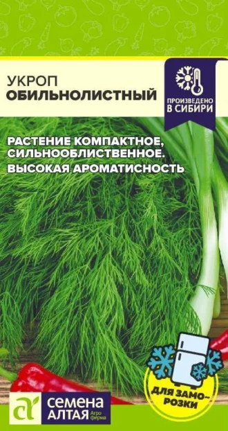 Укроп Обильнолистный ФОТО