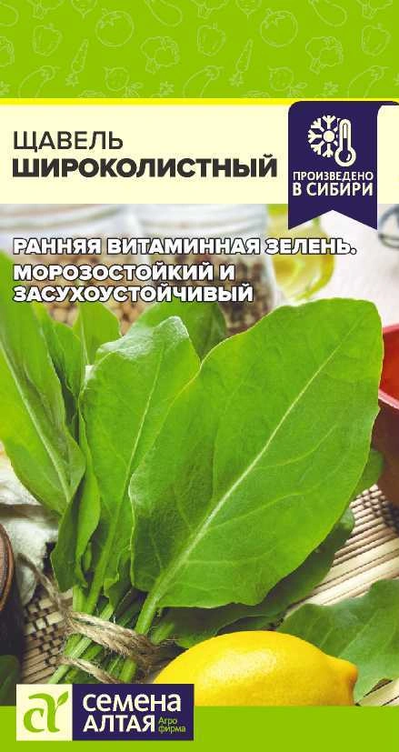 Щавель Широколистный ФОТО