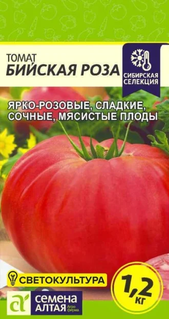 Томат Бийская Роза фото