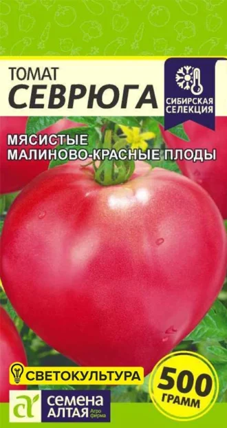 Томат Севрюга фото