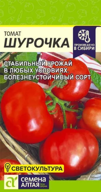 Томат Шурочка фото