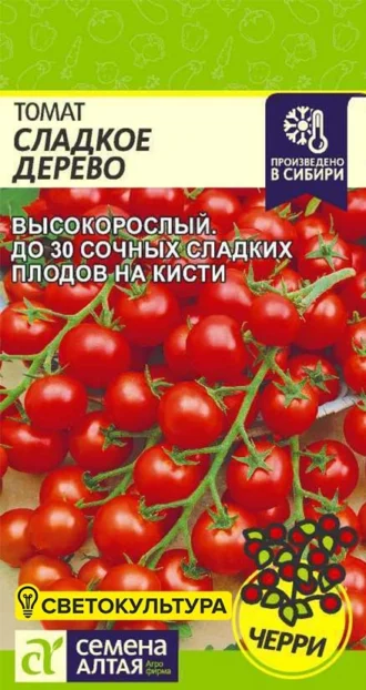 Томат Сладкое Дерево фото