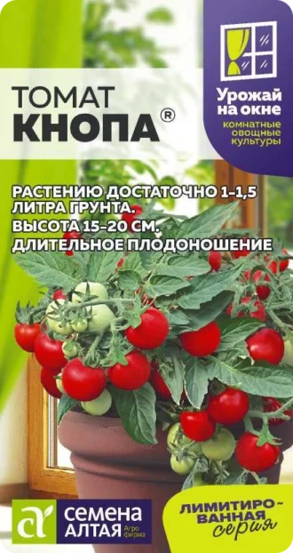 Томат Кнопа фото