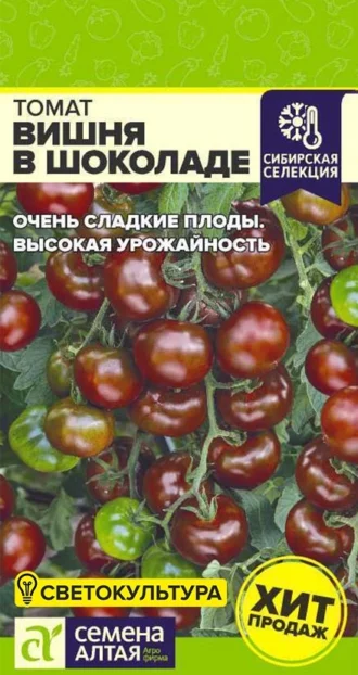 Томат Вишня в Шоколаде фото