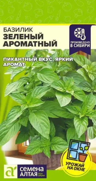 Базилик Зеленый Ароматный ФОТО