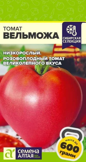 Томат Вельможа ФОТО