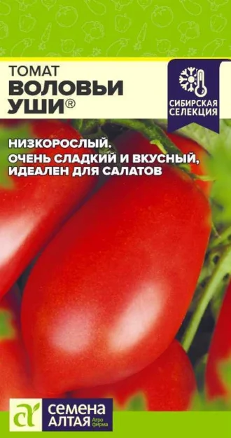 Томат Воловьи Уши ФОТО
