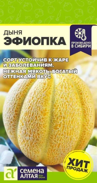 Дыня Эфиопка фото