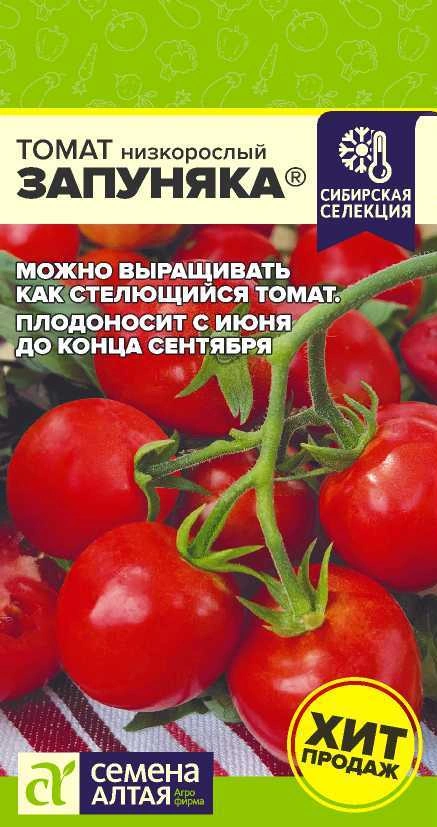 Томат Запуняка фото