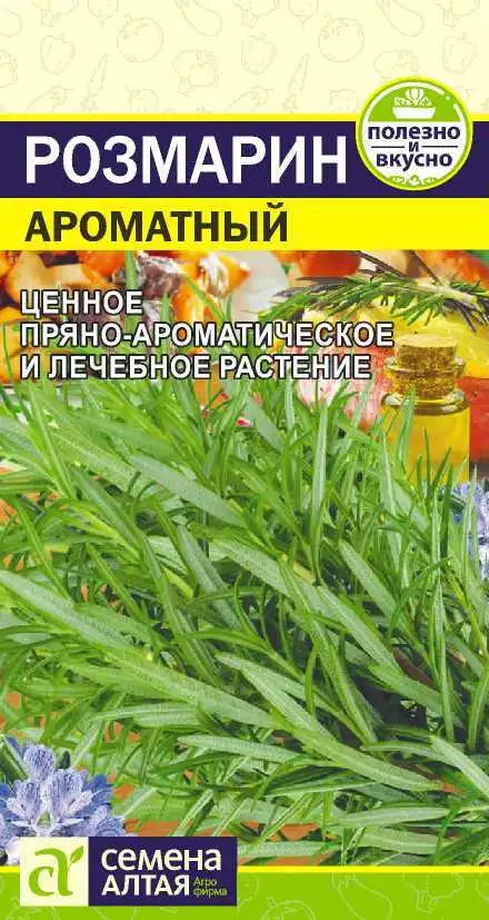 Розмарин Ароматный Семена Алтая
