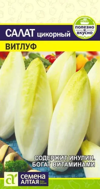 Салат Цикорий Витлуф Семена Алтая