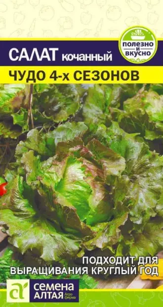 Салат Чудо 4 Сезонов Семена Алтая