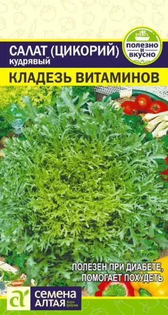 Салат Цикорий Кладезь Витаминов Семена Алтая