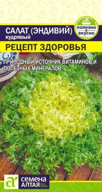 Салат Эндивий Рецепт Здоровья Семена Алтая