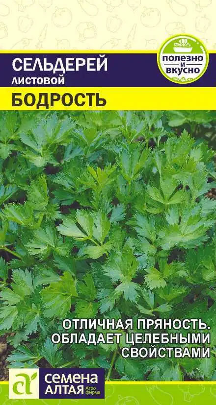 Сельдерей Листовой Бодрость Семена Алтая