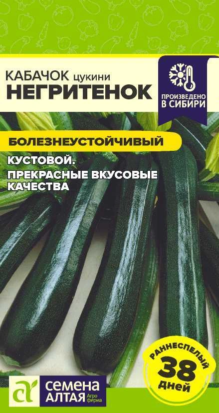 Кабачок Негритенок ФОТО