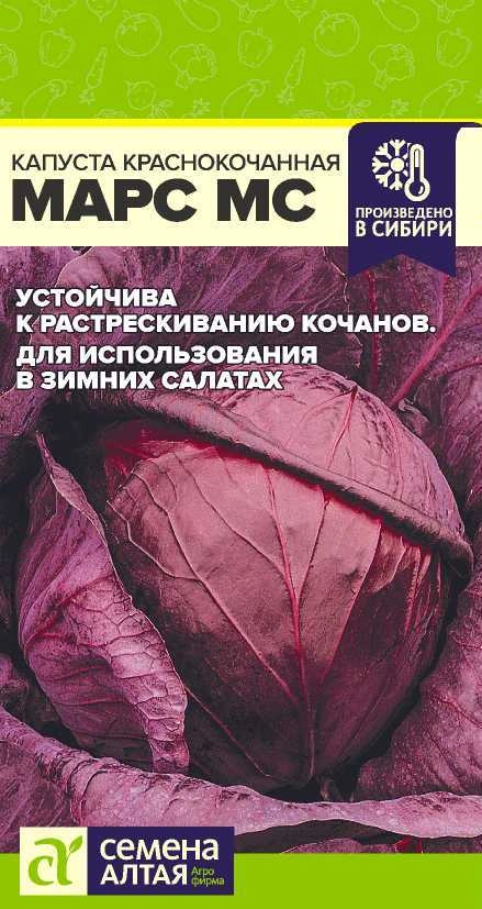 Капуста Краснокочанная Марс ФОТО