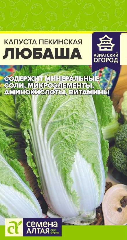 Капуста Пекинская Любаша ФОТО