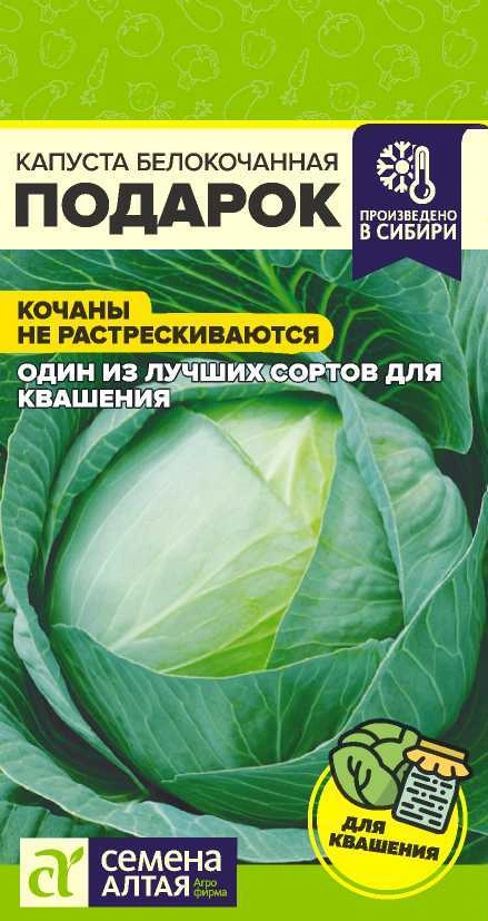 Капуста Подарок ФОТО