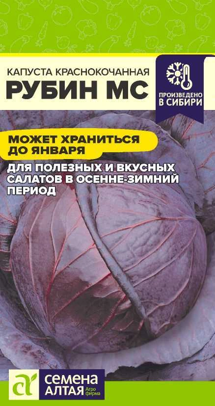 Капуста Краснокочанная Рубин ФОТО