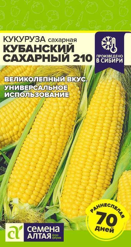Кукуруза Кубанский Сахарный ФОТО
