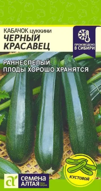 Кабачок Черный Красавец Семена Алтая