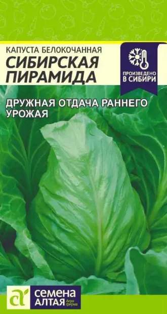 Капуста Сибирская Пирамида Семена Алтая