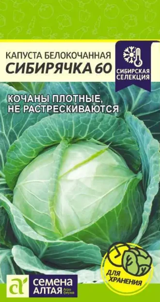 Капуста Сибирячка 60 Семена Алтая