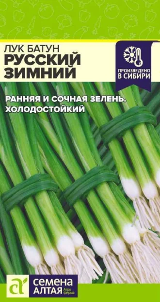 Лук Батун Русский Зимний ФОТО