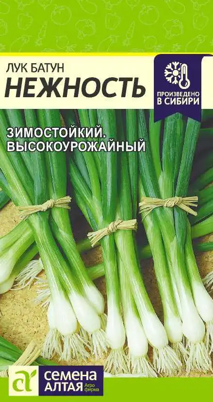 Лук Батун Нежность Семена Алтая