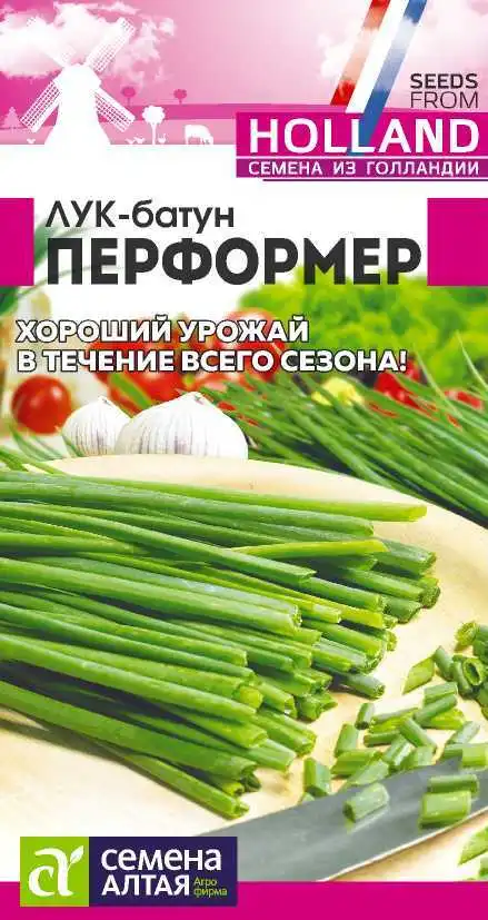 Лук Батун Перформер Семена Алтая