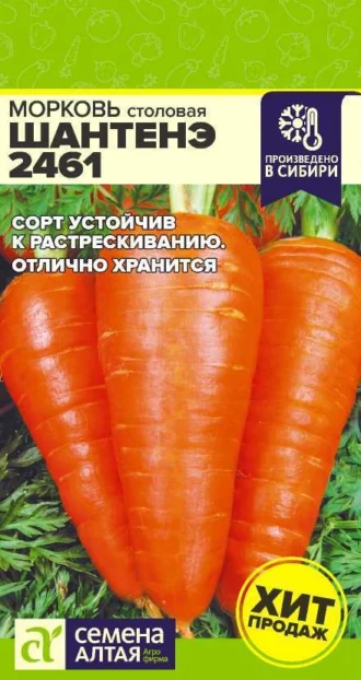 Морковь Шантенэ-2461 фото