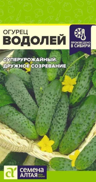 Огурец Водолей ФОТО