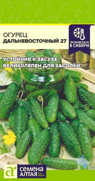 Огурец Дальневосточный 27 ФОТО