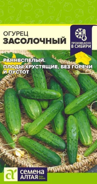 Огурец Засолочный ФОТО