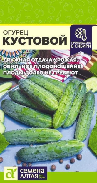 Огурец Кустовой фото